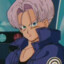 ...TRUNKS...