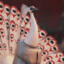 Lord Shen
