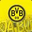 BVB1995