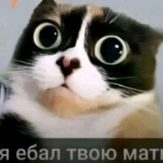 киска алиска 67