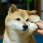 啊？还有高手！