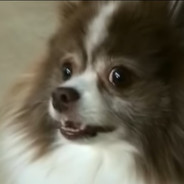 NotGoose