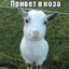 сельский мальчик