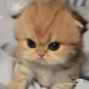 溜溜球的小娇夫