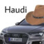 Haudi