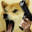doge with a gun™