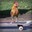 Chooks