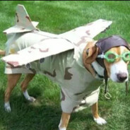 DogFly