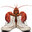 Lobter