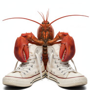 Lobter