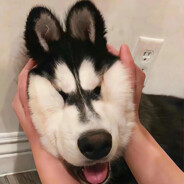 QQ农场提醒您，菜死了