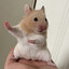 birchy's avatar