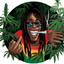 canna420bis og