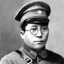 杨虎城