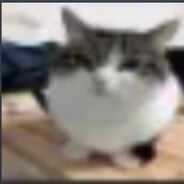 Рядовой свага №2