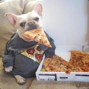 我闪现又撞墙了