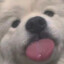 祁连山