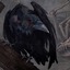 _--RaVeN--_