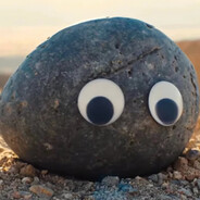 相逢何必曾相识