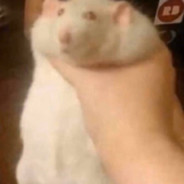 mesayalonramp