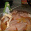 мясная няшка