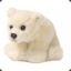 Polar_beaR