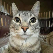 Adwtq777 [PL] - steam id 76561199845693217