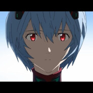 我是绫波丽小姐的狗