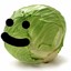 Cabbage