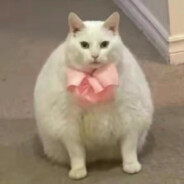 蛋蛋（已黑化）