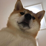 1TapDoggi avatarı