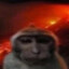 Яичко