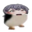 gugugaga🐧🐧🐧