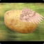 Flying potato