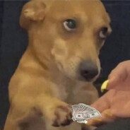 Tessugo Pedindo Dinheiro