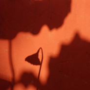 棋霸·武藤游戏