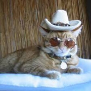fade