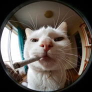 Kalimura༼ つ* * ༼ つ