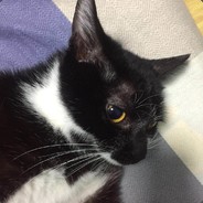 百年一见的居头少年