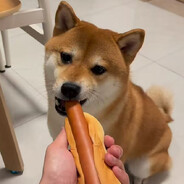 光要面包加根肠