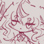 Mimes
