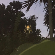Avatar snapshot