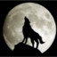 MoonWolf