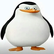 这一块这一块/.