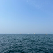 w院士（新年快乐）