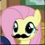 Flutterguy