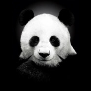 今晚打熊猫