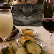 Рома фид тронам