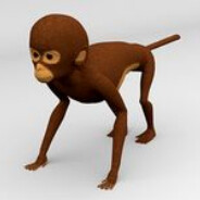 monkie