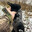 Crow Hunter